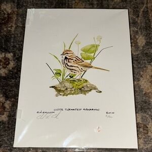 CH Collum White -Throated Sparrow Art Print